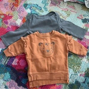 Carter's Orange and Gray Animal Sweatshirts